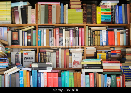 Scaffali ripieni in una libreria antiquaria Foto Stock