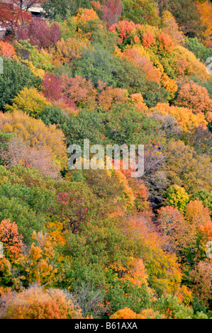 Ohio vista aerea di alberi con i colori dell'autunno Foto Stock