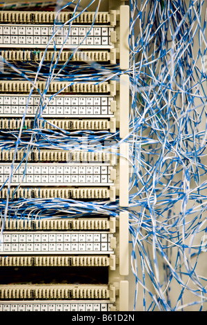 Primo piano dei vari cavi collegati a un server. Foto Stock