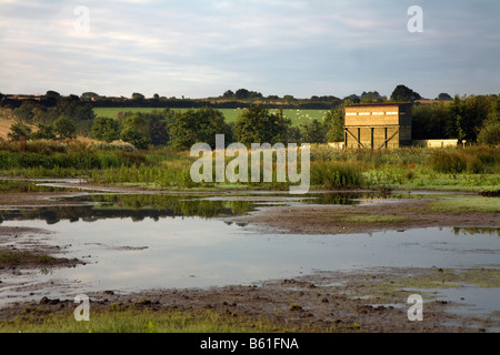 Walmsley Bird Sanctuary st albans Cornovaglia Foto Stock