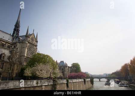 Una vista della cattedrale di Notre Dame di Parigi lungo' Senna Foto Stock