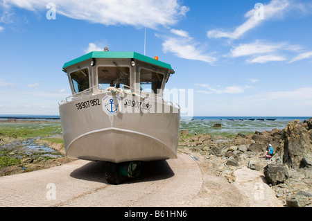 Veicolo anfibio caricato con cozze in guida dai letti di cozze in San Brieux Bay prima che la marea entra in Brittany Foto Stock