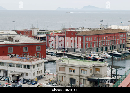 Imbarcazioni del porto della polizia o dei Carabinieri e dei servizi doganali o di Guardia Finanza nel porto di Napoli, campania, Italy Foto Stock