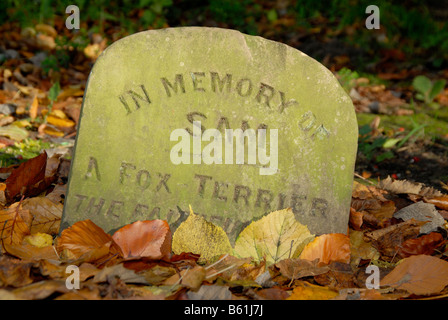 Cimitero di Pet: oggetto contrassegnato per la rimozione definitiva di un cane nella motivazione del Priory Park, Reigate, Surrey, Inghilterra Foto Stock