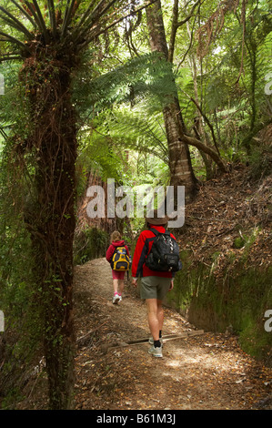 Famiglia a piedi la Abel Tasman via costiera Parco Nazionale Abel Tasman Nelson regione Isola del Sud della Nuova Zelanda Foto Stock