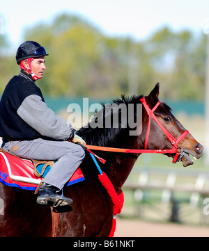 Jockey seduto sulla cima di un oscuro borwn corsa di cavalli Foto Stock