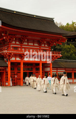 L'uomo tiro con arco e frecce nella foresta, Stockholms Lan, Svezia Foto  stock - Alamy