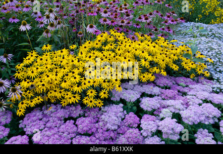 Cono arancio fiori (rudbeckia fulgida), stonecrops (sedum), il cono fiori (echinacea) e gli astri (ASTER) Foto Stock