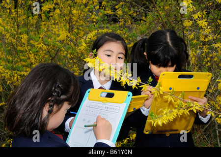 Scuola le ragazze che indossano l'uniforme di un elite la scuola primaria a lavorare su un foglio sulla clipboard i Giardini Botanici in K Foto Stock