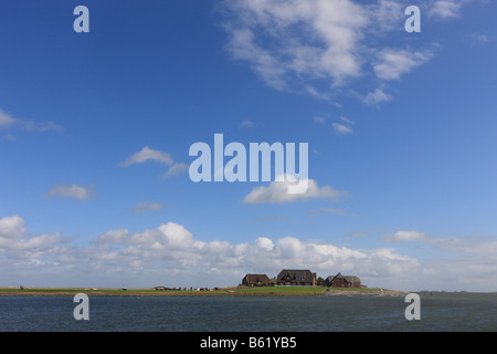 Dimora Poggio sul Langeness holm, Langeness, Schleswig-Holstein, Germania, Europa Foto Stock