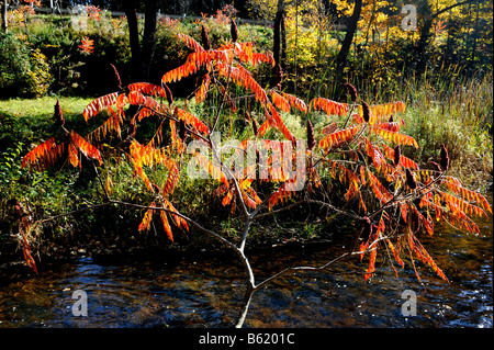 Benmiller Inn resort in Benmiller Ontario Canada durante i colori autunnali Foto Stock