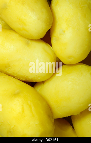 Patate bollite e pelate Foto Stock