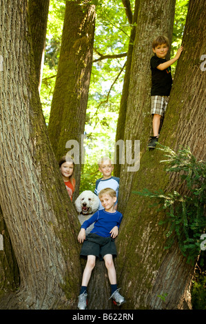 Un gruppo di ragazzi di quartiere età da 5 a 10 appendere fuori in una struttura ad albero con il loro barboncino pet Foto Stock