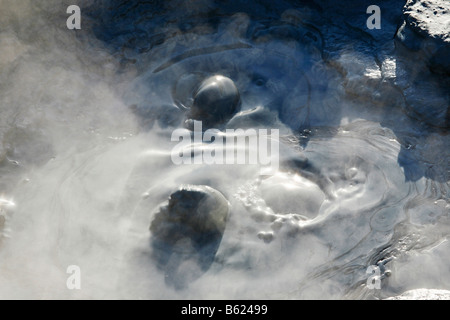 Caldo, pozze di fango in un pool in Gunnuhver area geotermica, Islanda, Europa Foto Stock