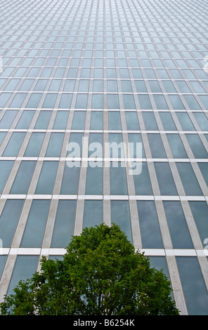 Edificio alto facciata dietro un albero verde, Monaco di Baviera, Germania, Europa Foto Stock