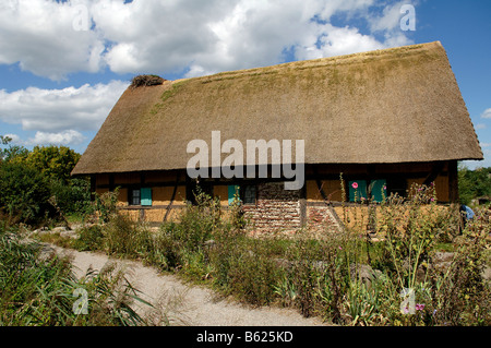 Storico e bargiglio daub mezzo in legno una casa famiglia con tetto di paglia 1561, eco-museo, Ungersheim, Alsazia, Francia, Europa Foto Stock