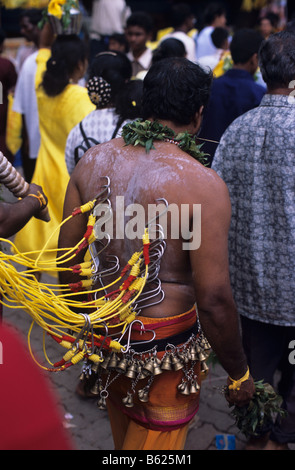 Un indù penitente, la sua schiena trafitto con ganci da macellaio, all'annuale Festival di Thaipusam a Grotte Batu, Kuala Lumpur, Malesia Foto Stock