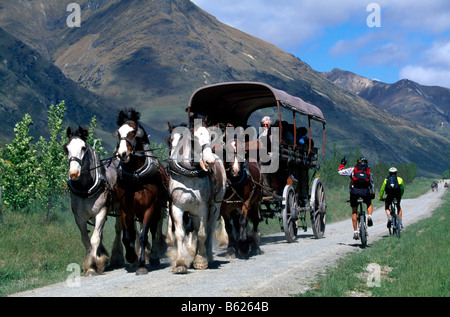 Mountainbiker passando un carro trainato da cavalli, il lago Wakatipu, Queenstown, Isola del Sud, Nuova Zelanda Foto Stock