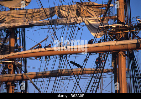 Marinai russi manipolare le vele & Rigging del russo tall ship 'Sedov' durante una sosta nel porto di Marsiglia, Francia Foto Stock