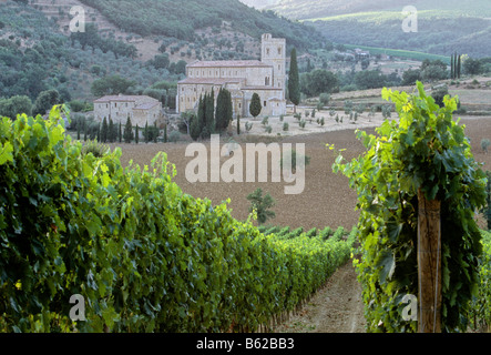 Abbazia di Sant'Antimo Abbey, vigneto, nei pressi di Castelnuovo dell' Abate, in provincia di Siena, Toscana, Italia, Europa Foto Stock