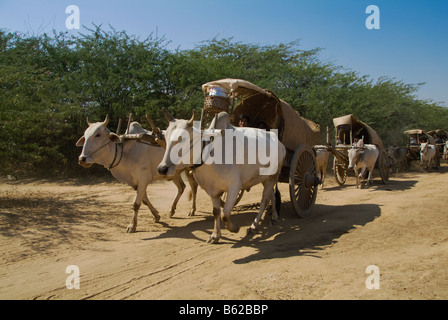 Ox carrello su una strada dustry Bagan Pagan MYANMAR Birmania Foto Stock