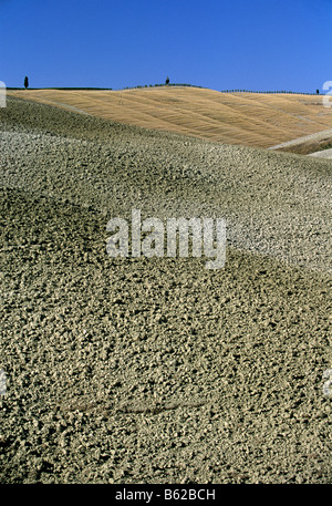 Raccolte di campi di grano, campo arato, paesaggio vicino a Montalcino, provincia di Siena, Toscana, Italia, Europa Foto Stock