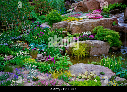 Una colorata fioritura estiva giardino alpino Foto Stock