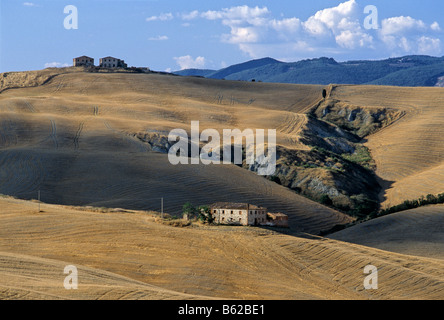 Cascina tra raccolte di campi di grano, Le Crete vicino Pievina, in provincia di Siena, Toscana, Italia, Europa Foto Stock