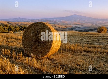 Balle di paglia, raccolte campi di grano, il paesaggio intorno a Radicofani e Monte Amiata al tramonto, Val d' Orcia nei pressi di Monticchiello, Foto Stock