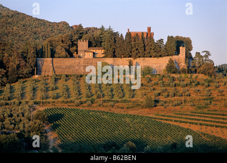 Vigneto intorno al Castello di Brolio nei pressi di San Regolo, Chianti, in provincia di Siena, Toscana, Italia, Europa Foto Stock