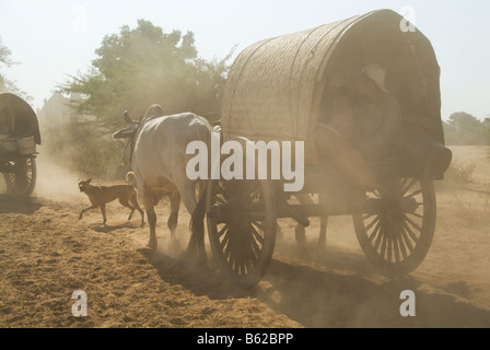 Ox carrello su una strada dustry Bagan Pagan MYANMAR Birmania Foto Stock