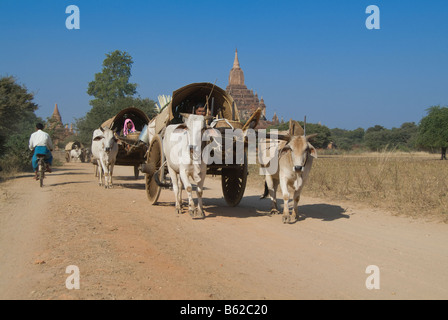 Ox carrello su una strada dustry Bagan Pagan MYANMAR Birmania Foto Stock