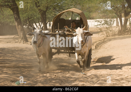 Ox carrello su una strada dustry Bagan Pagan MYANMAR Birmania Foto Stock