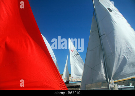 Yacht vele contro un cielo blu. Foto Stock