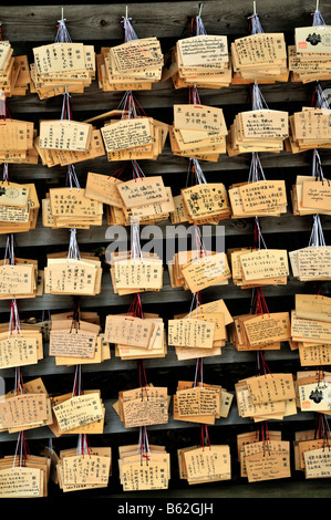 Ema (desideri) sul display al Tempio di Meiji, Yoyogi Park, Tokyo, Giappone Foto Stock