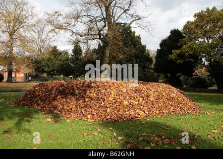 Grande mucchio di foglie in un parco a CHESTER Inghilterra England Foto Stock