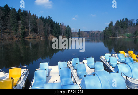 Pedalò sul lago Ebnisee, Sveva Foresta della Franconia, Svevo, Baden Wurttemberg, Germania Foto Stock