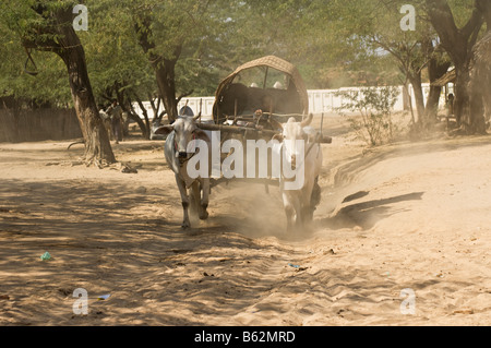 Ox carrello su una strada dustry Bagan Pagan MYANMAR Birmania Foto Stock