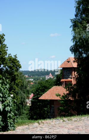 Parte del castello di Vilnius complessa, Vilnius, Lituania Foto Stock