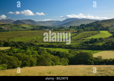 Verdi campi nel Finn Valley, sotto le montagne Bluestack. Contea di Donegal, Irlanda. Foto Stock