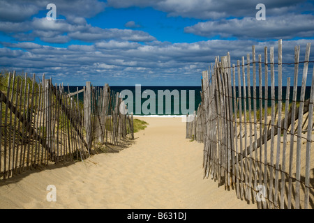 Cape Cod National Seashore Massachusetts USA Foto Stock