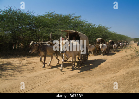 Ox carrello su una strada dustry Bagan Pagan MYANMAR Birmania Foto Stock