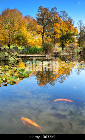 I giardini di roccia stagno in Brighton opposta a Preston Park, Brighton East Sussex, Inghilterra Foto Stock