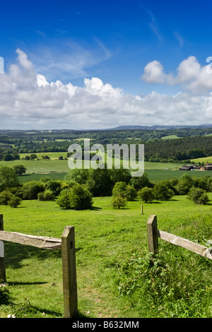 Colline del SURREY REGNO UNITO - campagna inglese - North Downs modo guardando verso il South Downs, Newlands Corner, Surrey Foto Stock