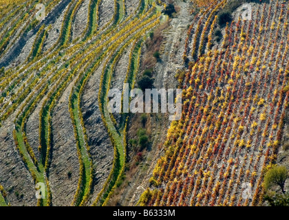 Il Portogallo, Valle del Douro in autunno Foto Stock