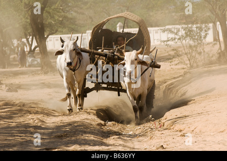 Ox carrello su una strada dustry Bagan Pagan MYANMAR Birmania Foto Stock