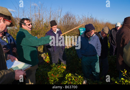 Commercio all'ingrosso annuale asta di taglio agrifoglio e vischio per le decorazioni di Natale a Little Hereford, Shropshire, Inghilterra, Regno Unito Foto Stock