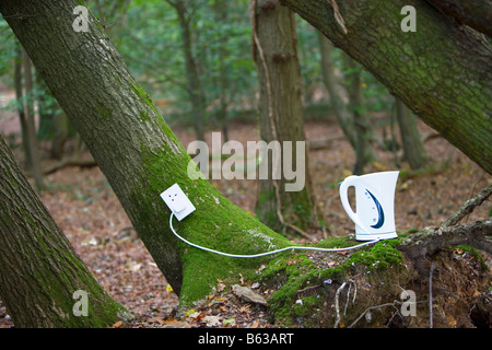 Presa elettrica e bollitore su albero nella foresta Foto Stock