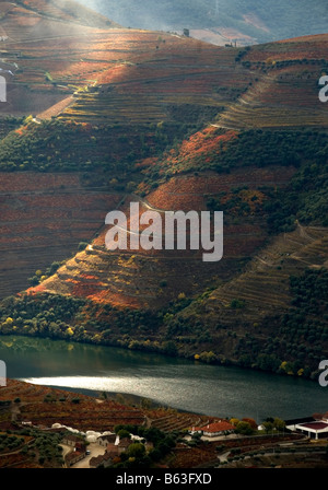 Autunno nella Valle del Douro Foto Stock