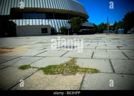 Piccola patch di erba crescente tra calcestruzzo in disuso Perth Entertainment Centre in background. Perth, Western Australia Foto Stock